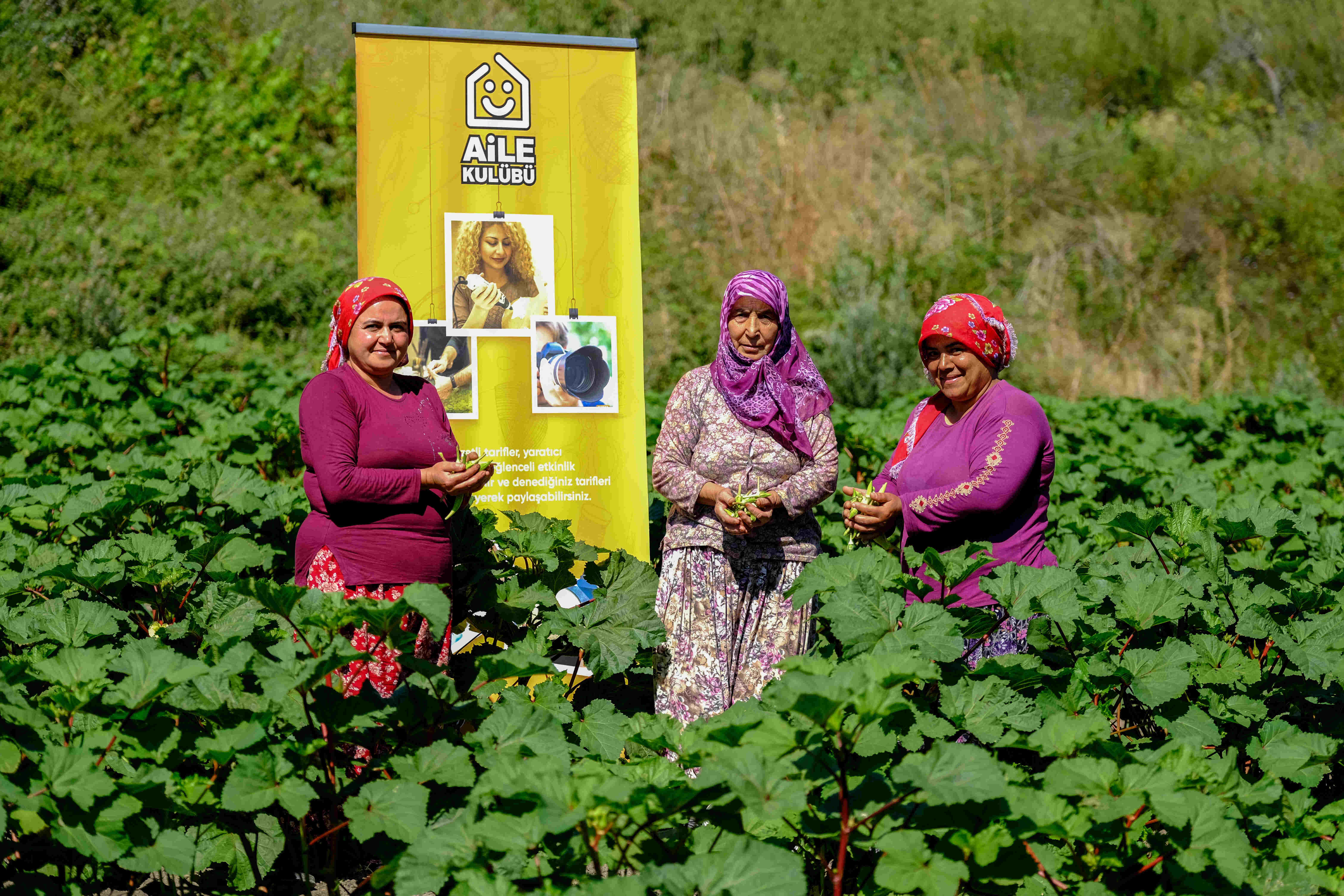 Tarlada bir araya gelen Aile Kulübü katılımcıları