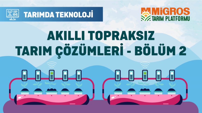Forfarming ile Akıllı Topraksız Tarım Çözümleri - Bölüm 2