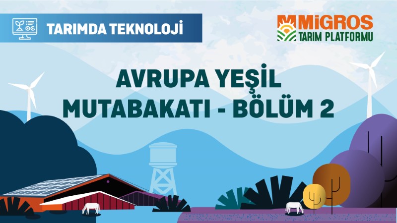 Avrupa Yeşil Mutabakatı - Bölüm 2