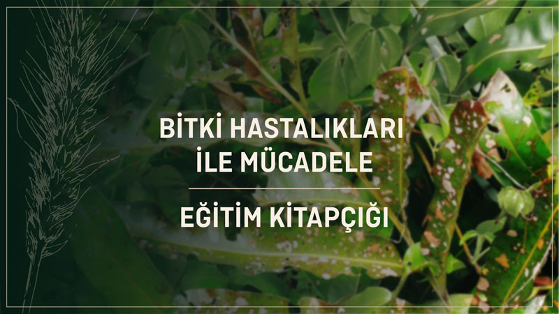 Bitki Hastalıkları ile Mücadele