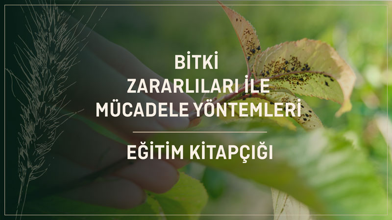 Bitki Zararlıları ile Mücadele