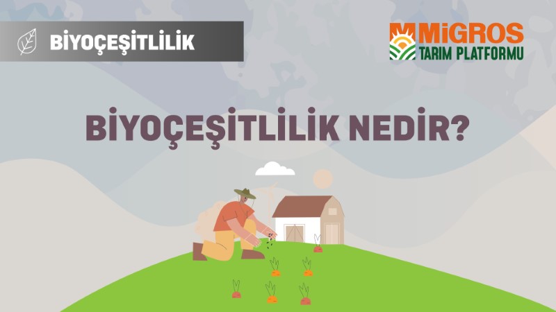 Malik Arsal Köse Biyoçeşitlilik ve Sürdürülebilir Tarım - Biyoçeşitlilik Nedir?