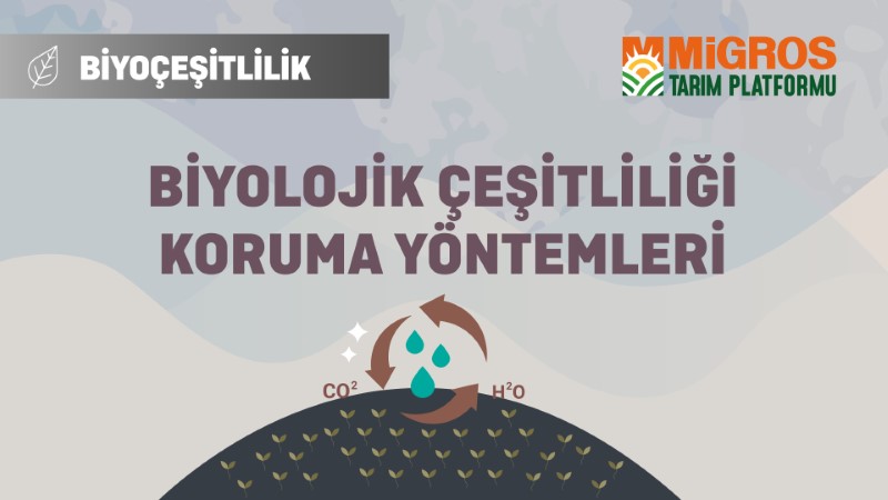 Malik Arsal Köse Biyoçeşitlilik ve Sürdürülebilir Tarım - Biyolojik Çeşitliliği Koruma Yöntemleri