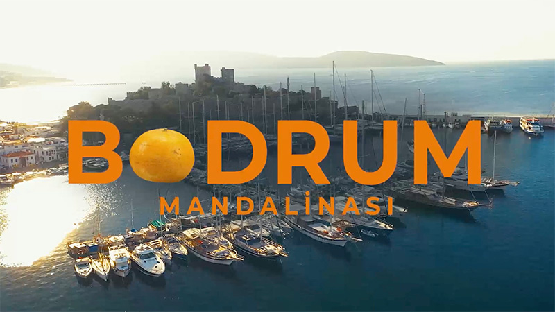 Bodrum’da mandalina hasadı