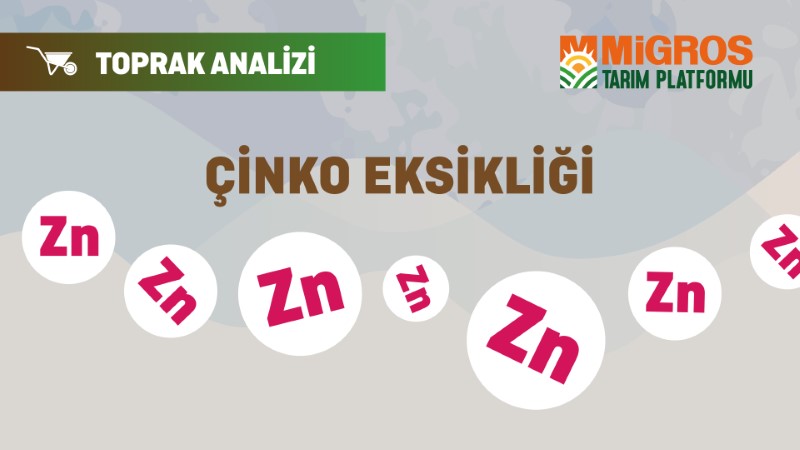 Şaduman Keser Üçüncü Toprak Analizi 8