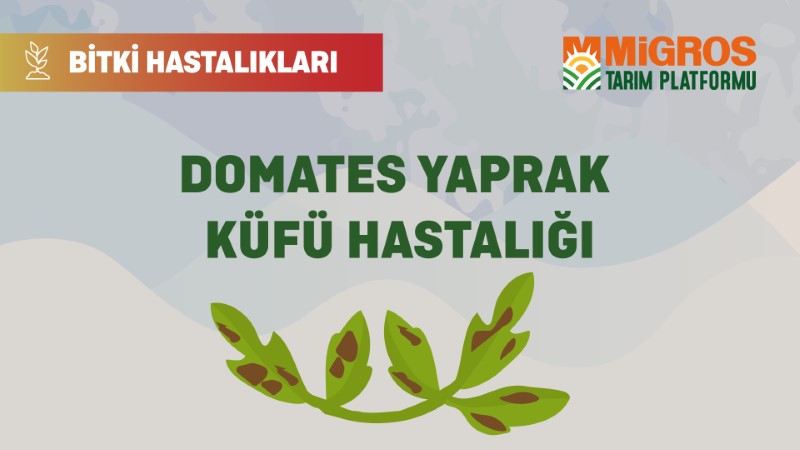 Bitki Hastalıkları Bölüm 15