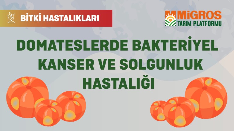 Bitki Hastalıkları Bölüm 11