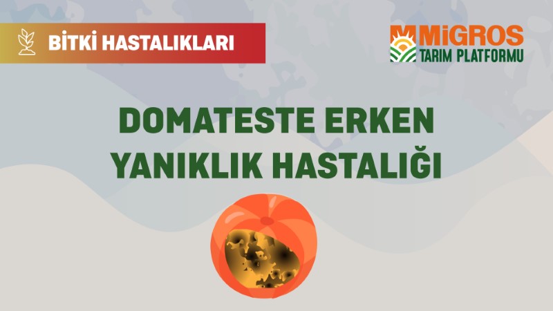 Bitki Hastalıkları Bölüm 16