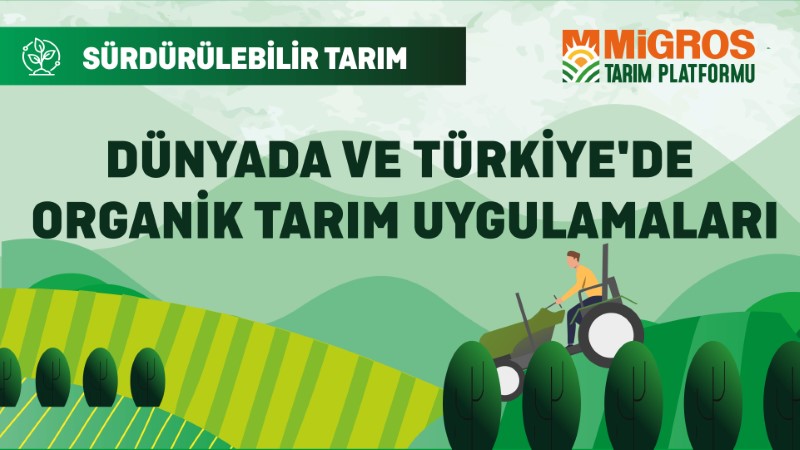Dünyada ve Türkiye'de Organik Tarım Uygulamaları