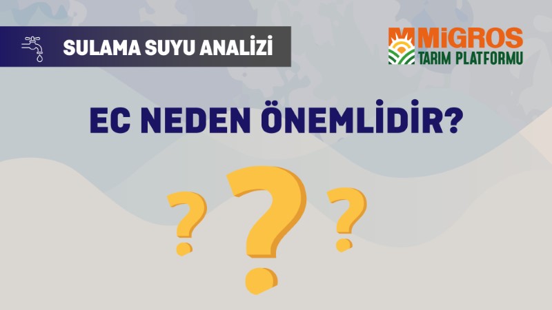 Mustafa Özgür Güral Sulama Suyu Analizi 4