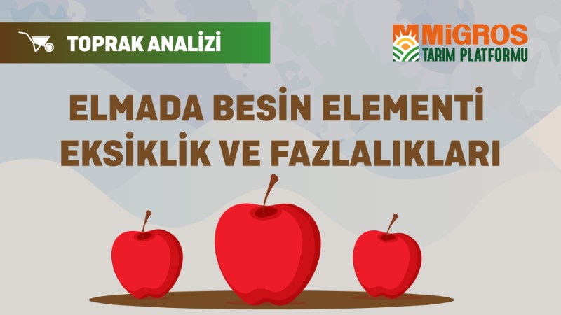 Şaduman Keser Üçüncü Toprak Analizi 7