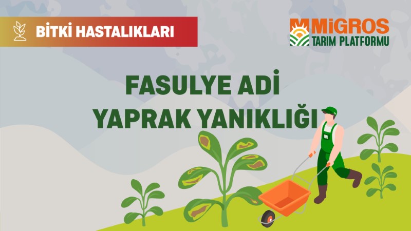 Bitki Hastalıkları Bölüm 21