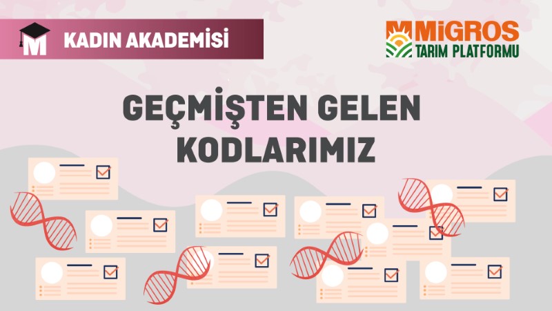 Geçmişten gelen Kodlarımız