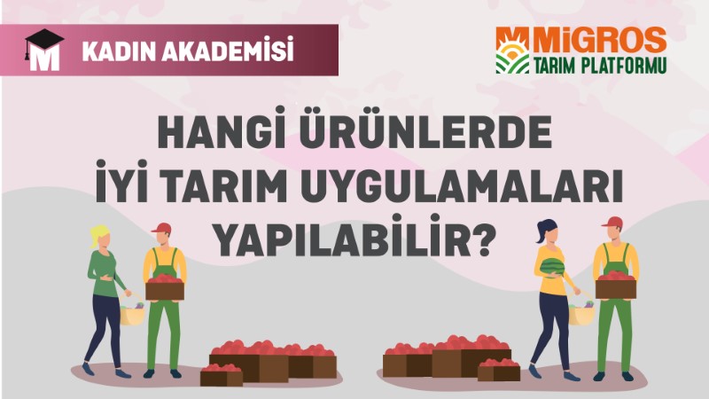Hangi Ürünlerde İyi Tarım Uygulamaları Yapılabilir