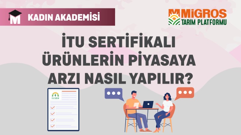 İTU Sertifikalı Ürünlerin Piyasaya Arzı Nasıl Yapılır