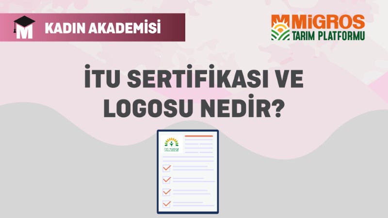 İTU Sertifikası ve Logosu Nedir