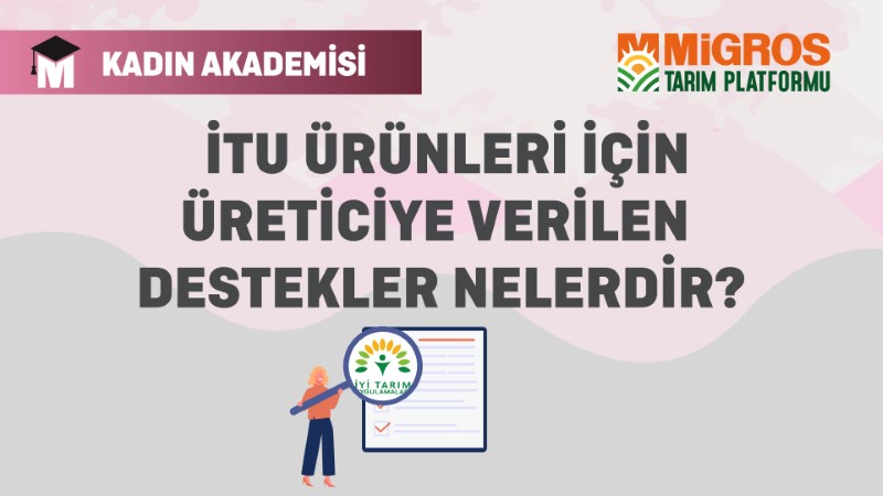 İTU Ürünleri için Üreticiye Verilen Destekler Nelerdir