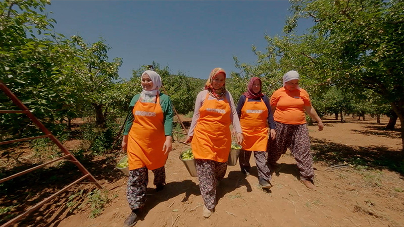 Kadın üreticilerin elinden Migros armutları