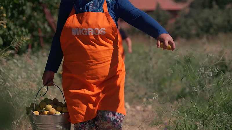 Kadın üreticilerin elinden Migros kayısıları