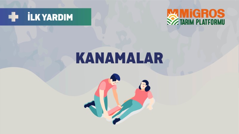 6- Kanamalar