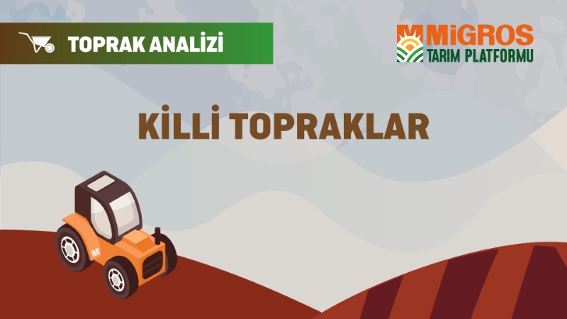 Şaduman Keser Üçüncü Toprak Analizi 6