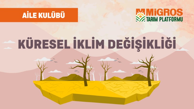Küresel İklim Değişikliği ile Mücadele