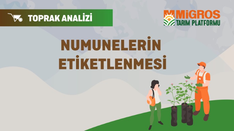 Şaduman Keser Üçüncü Toprak Analizi 4