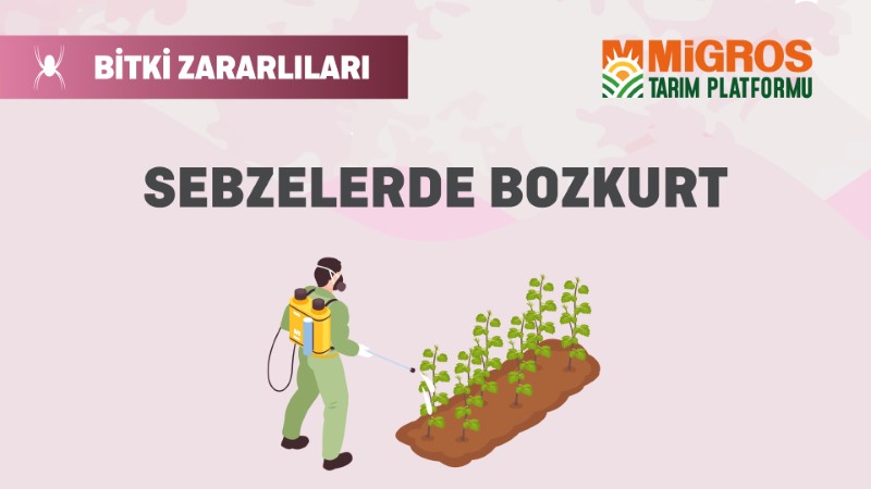 Bitki Zararlıları 5