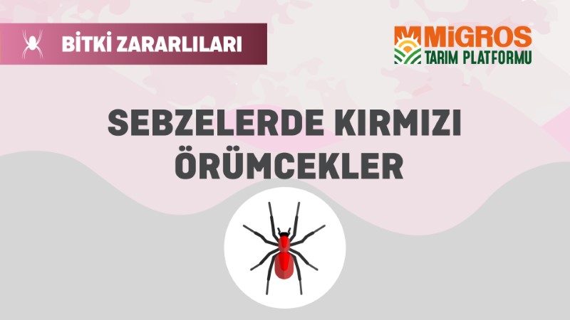Bitki Zararlıları 2