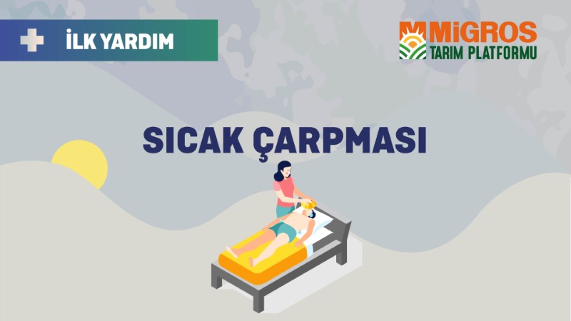 5- Sıcak Çarpması