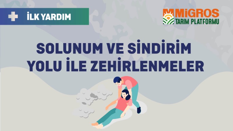 3- Solunum ve Sindirim Yoluyla Zehirlenme
