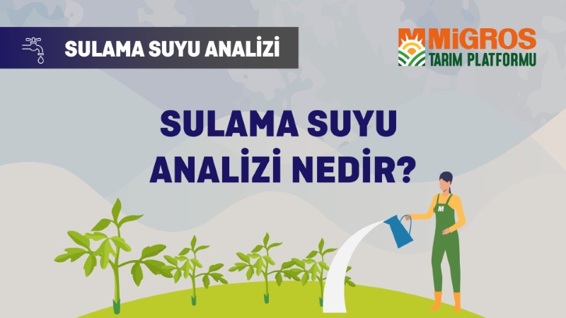 Mustafa Özgür Güral Sulama Suyu Analizi 1