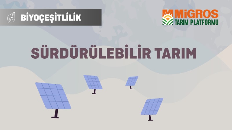 Malik Arsal Köse Biyoçeşitlilik ve Sürdürülebilir Tarım - Sürdürülebilir Tarım