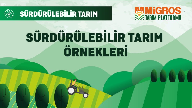Sürdürülebilir Tarım Örnekleri