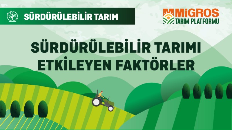 Sürdürülebilir Tarımı Etkileyen Faktörler