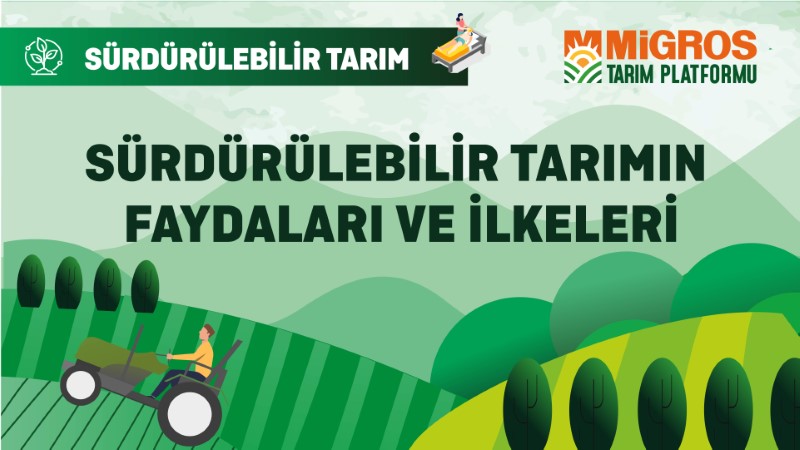 Sürdürülebilir Tarımın Faydaları ve İlkeler