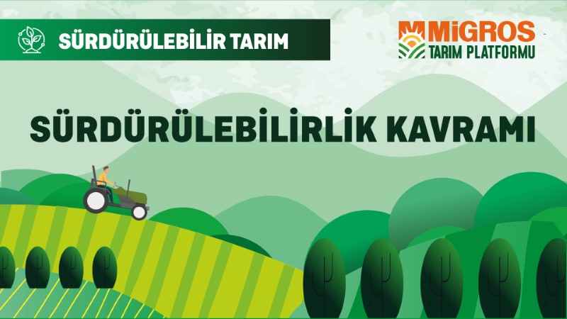 Sürdürülebilirlik Kavramı