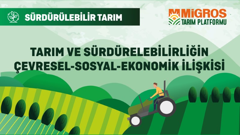 Tarım ve Sürdürülebilirliğin Çevresel-Sosyal-Ekonomik İlişkisi