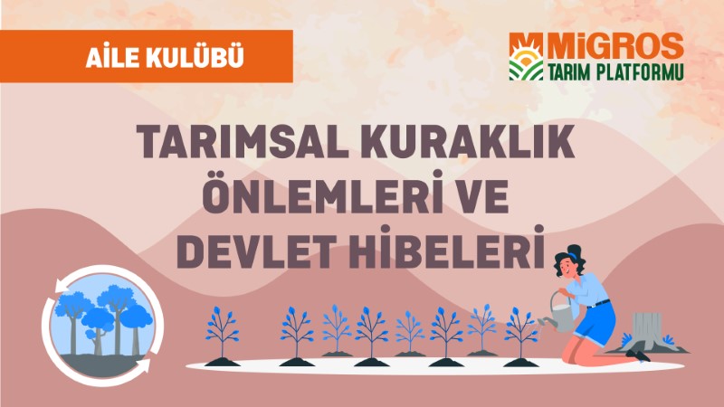 Tarımsal Kuraklık Önlemleri ve Devlet Hibeleri