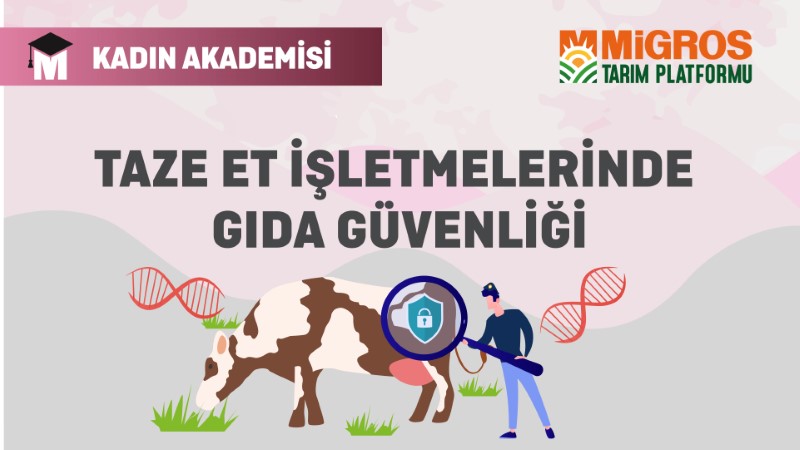 Taze Et İşletmelerinde Gıda Güvenliği