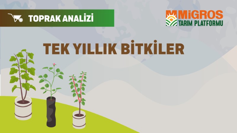 Şaduman Keser Üçüncü Toprak Analizi 3