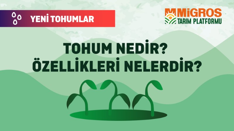 Malik Arsal Köse Yeni Tohumlar 1