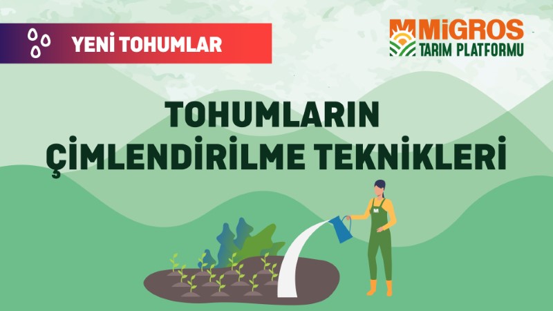 Malik Arsal Köse Yeni Tohumlar 10