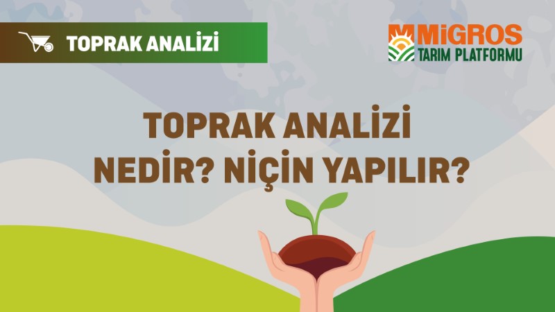 Şaduman Keser Üçüncü Toprak Analizi 1