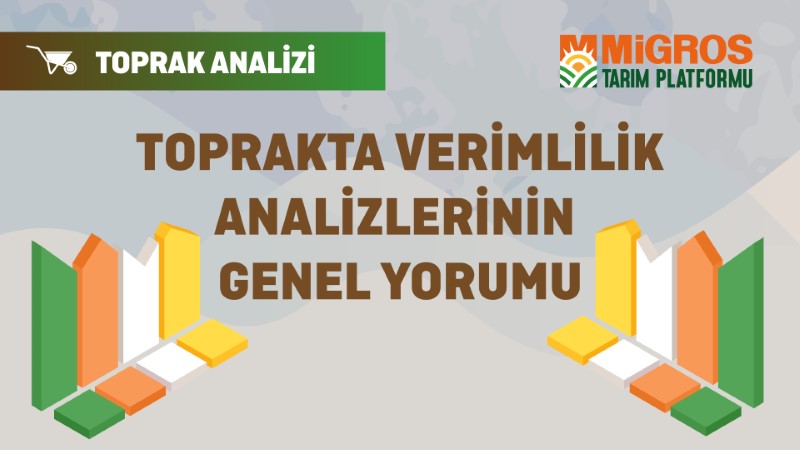 Şaduman Keser Üçüncü Toprak Analizi 5