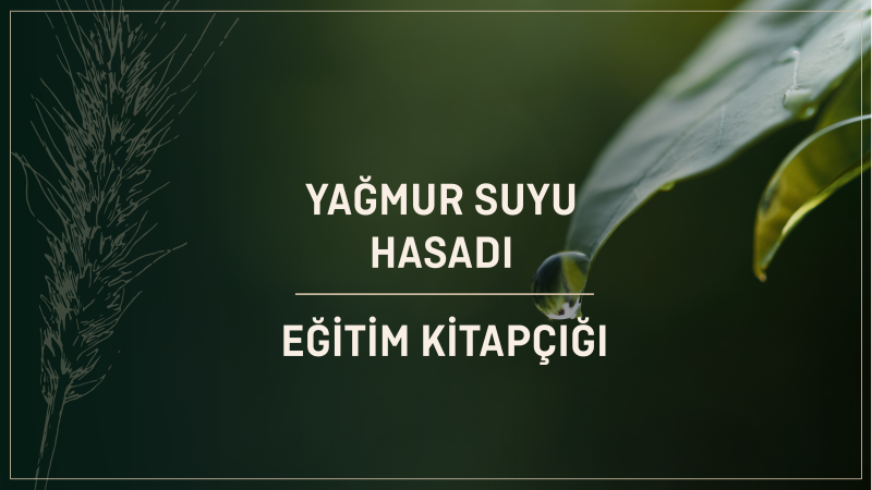 Yağmur Suyu Hasadı