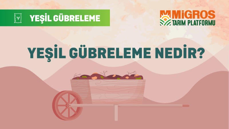 Ahmet Cem Sarıaydın Yeşil Gübreleme